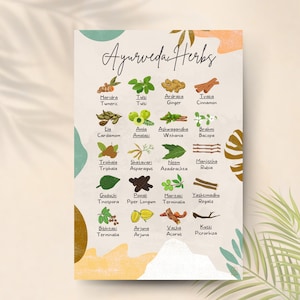 Ayurveda-Poster mit Heilkräutern zum Ausdrucken | Pflanzen für Ayurveda-Aufgüsse | Digitaler Ratgeber zu Ayurveda-Aufgüssen | Digitale Kunst