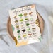 Ayurvedic Printable Poster With Medicinal Herbs | Plants for Ayurvedic ...