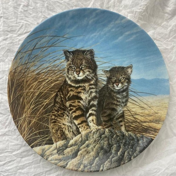 The Pampas Cat  1991 collection porcelain plate   American 1854 Knowles  By Lee Cable,         Plate number is 2254A