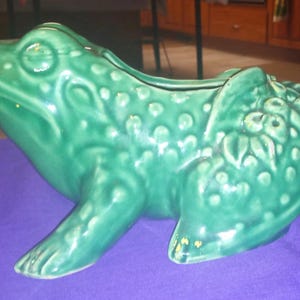 May include: A ceramic frog planter in a vibrant green glaze. The frog has a detailed textured surface with raised dots and floral accents. The planter is approximately 12 inches long and sits on a purple surface.