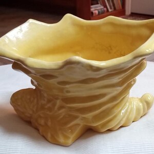 May include: A yellow ceramic planter with a seashell design. The planter has a wide, scalloped rim and a textured, swirling base. The interior is smooth, and the exterior has a glossy finish. This decorative piece is suitable for displaying small plants or flowers.