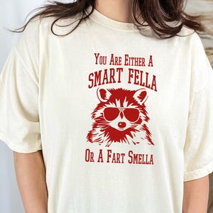 Are You A Smart Fella Or Fart Smella? Retro Cartoon T Shirt, Weird T Shirt, Meme T Shirt, Trash Panda T Shirt, Unisex Comfort Colors