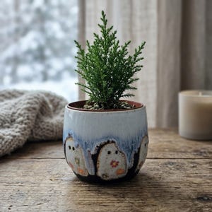 Può includere: Una piccola pianta sempreverde verde in un vaso di ceramica. Il vaso presenta una finitura smaltata a goccia bianca e blu con figure di fantasmi in rilievo decorate con piccoli motivi floreali colorati attorno alla base del contenitore.