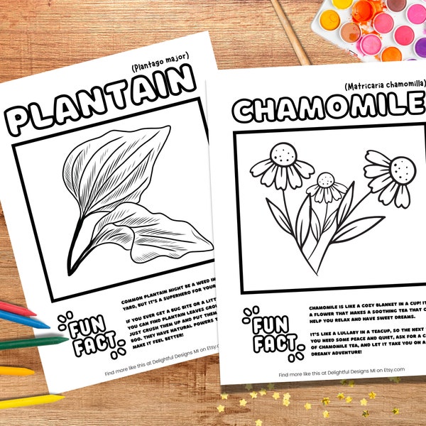 Herbalism Unschooling Materials Teacher Resources Montessori Materials Coloring Pages Homeschool Science Curriculum Learning About Nature