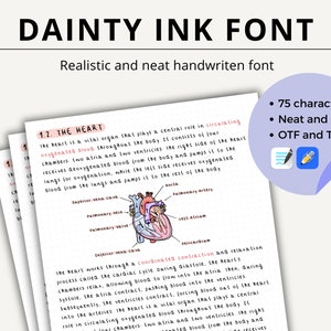 Può includere: Immagine di un esempio di carattere scritto a mano intitolato "DAINTY INK FONT". L'esempio include testo sul cuore, con un diagramma. Un adesivo mostra le caratteristiche del carattere: 75 caratteri, pulito e ordinato, OTF e TTF.