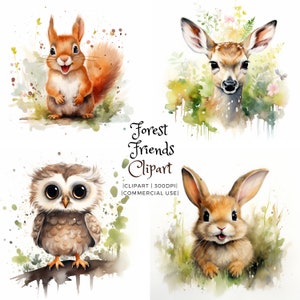 Woodland Forest Classroom Theme - Bundle Clipart aquarelle, renard, lapin, cerf, hibou, écureuil, Téléchargement numérique, Licence commerciale