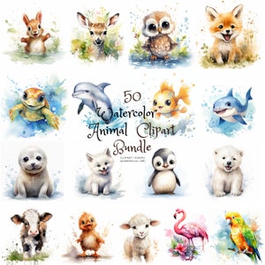 50 Bundle Animal aquarelle, Floral, Clipart, Format PNG, 50 PNG de haute qualité, téléchargement immédiat, licence commerciale