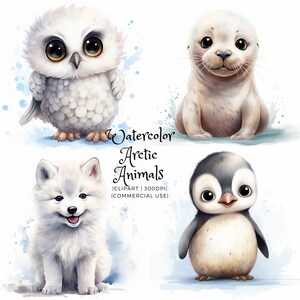 Imágenes Prediseñadas de animales árticos, paquete de acuarela, búho nival, zorro, pingüino, oso, imágenes prediseñadas de vivero, arte PNG, licencia comercial, descarga digital