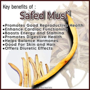 Safed Musli | Musli White | Chlorophytum borivilianum - Exploring the Power of Musli