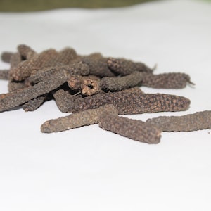 Long Pepper | Dried Catkins - Discovering the Richness of Long Pepper