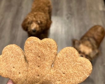 All-natural homemade dog treats