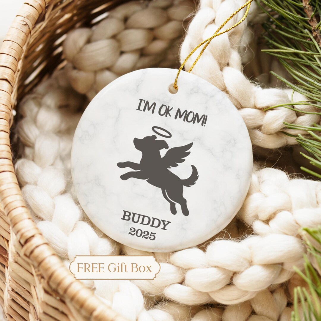 Personalized Angel Wings Pet Memorial Ornament, Dog Remembrance Gift ...