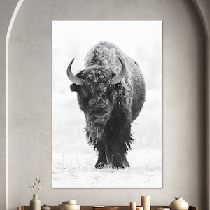 Buffalo on Snowy Grasslands , Bison Canvas Artwork For Home or Office, Wall Hanging, North American Bison Art