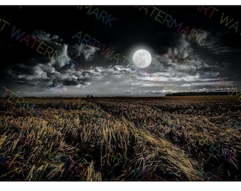 May include: A nighttime landscape featuring a full moon in a cloudy sky over a field of wheat. The wheat field is illuminated by the moon, with dark shadows and a dramatic sky. The image has a moody, atmospheric feel.