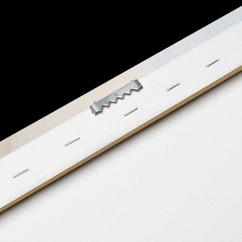 May include: Close-up of the back of a canvas print with a metal hanging hook and staples. The canvas is white and the wood frame is light brown.