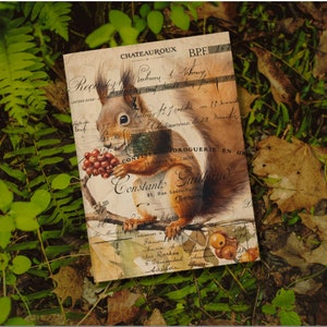 Könnte beinhalten: Eine Vintage-Postkarte mit einem roten Eichhörnchen, das eine rote Beerenkette hält. Die Postkarte hat eine handschriftliche Nachricht und einen Stempel mit dem Text "Constant Guillard" und "21, Rue Ledru Rollin".