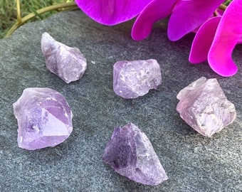 Raw Amethyst - Healing Crystals for pets - Chakra cleansing for animals - Crown chakra - Crystal energy healing