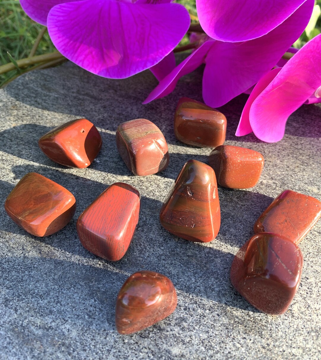 Red Jasper Healing Crystals for Pets Chakra Cleansing for Etsy
