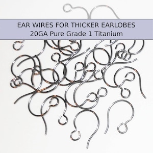 6 pr. 20GA Hook Ear Wires for Regular and Thicker Earlobes PURE Grade 1 Titanium