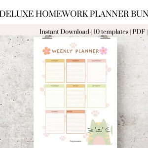 Bundel uitvoerend functioneren: huiswerkplanner, takenschema, stemmingstracker (pdf) afbeelding 6