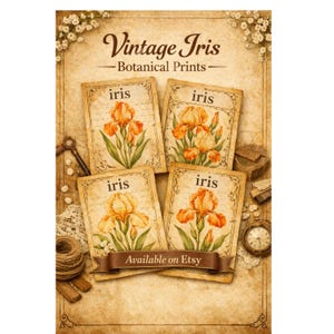 Könnte beinhalten: Vintage Iris botanische Drucke. Das Bild zeigt vier Karten mit Illustrationen von Irisblüten in Orange- und Gelbtönen. Die Karten sind mit "iris" beschriftet und vor einem Hintergrund im Vintage-Stil platziert. Der Text "Available on Etsy" ist ebenfalls sichtbar.