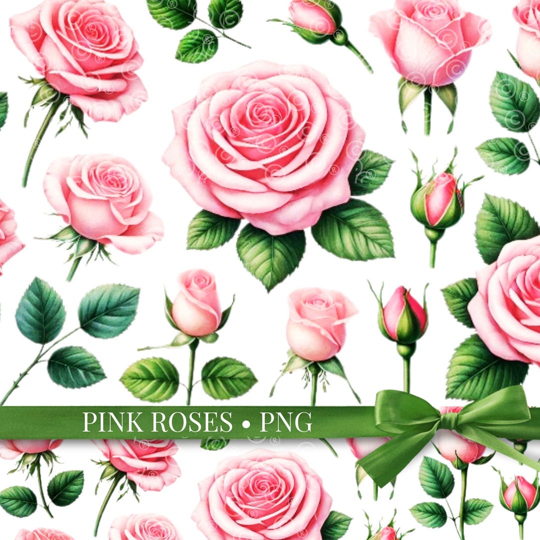 Pink Roses Watercolor Clipart: Wedding Scrapbook PNG (digital Download ...