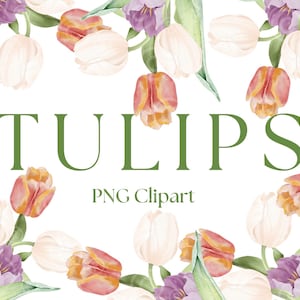 Puede incluir: Ilustración de acuarela de tulipanes en tonos de rosa, blanco y morado. Las flores están dispuestas en un borde alrededor de la palabra "TULIPS" y el texto "PNG Clipart".