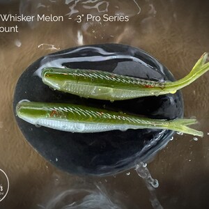 Soft Plastic: 3&quot; Pro Series - Red Whisker Melon