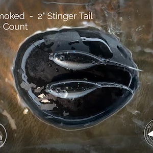 Soft Plastic: 2" Stinger Tail Smoked Crappie Baits
