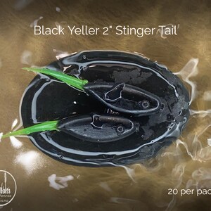 Soft Plastic: Black Yeller Crappie Baits
