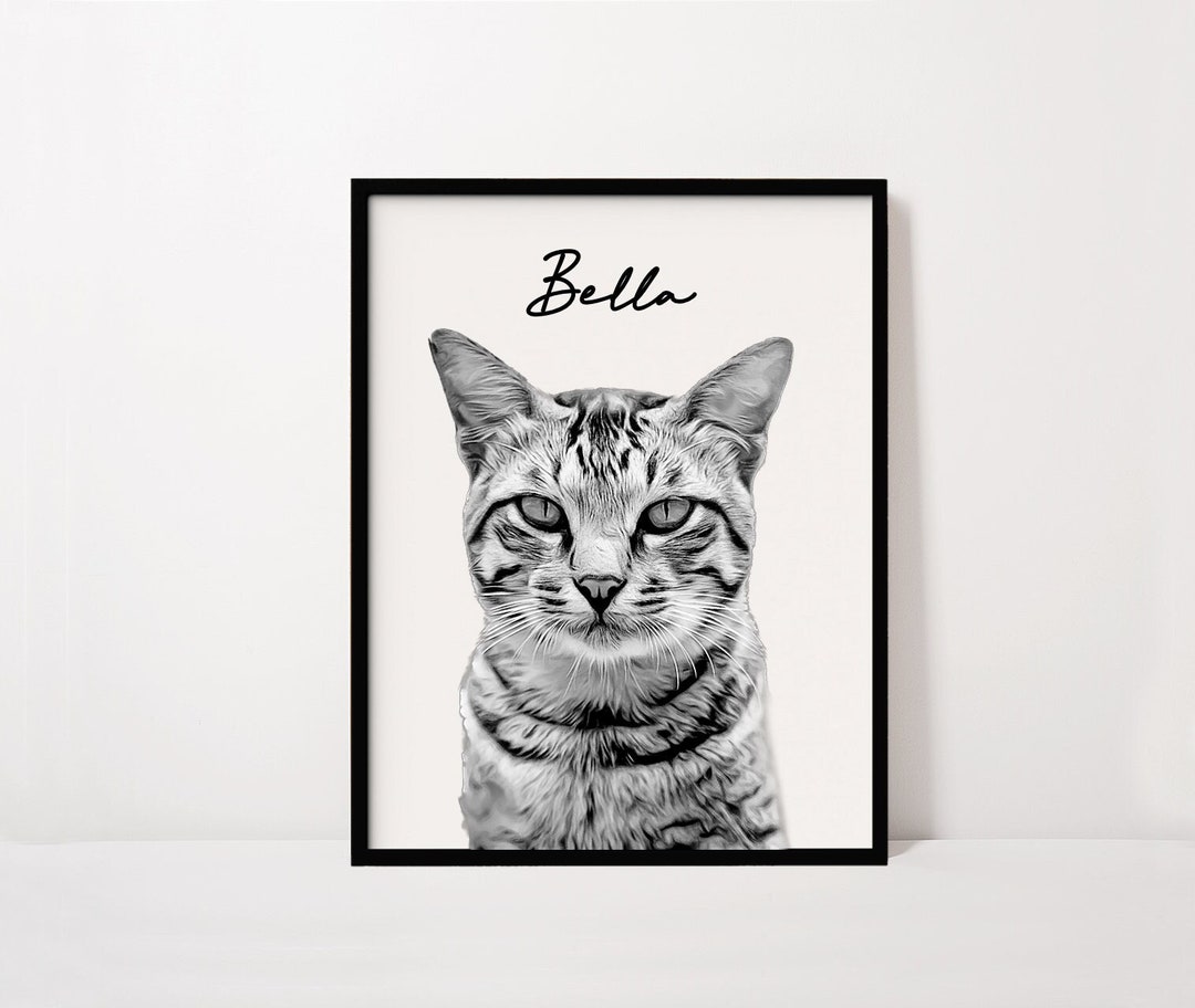 Custom Pet Portrait, Black and White Personalized Cat Drawing, Cat