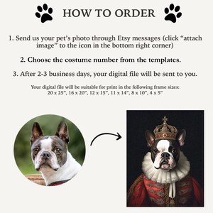 Pu&ograve; includere: Istruzioni su come ordinare un ritratto di animali domestici personalizzato. Il testo recita: "COME ORDINARE". I passaggi includono l'invio di una foto, la scelta di un costume e la ricezione di un file digitale. L'immagine mostra un Boston Terrier in costume reale.