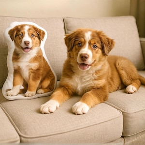 Custom 3D Pet Pillow from Photo, Personalized Dog Shaped Pillow, Double Printed Pet Pillow, Pet Memorial Gift
