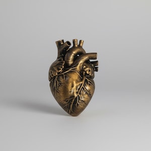 Anatomical Heart Cabinet Knob | Hand Painted Bronze | Resin Drawer Handle | Gothic Hardware