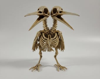 Two Headed Bird Skeleton Statue, Hand Painted Gothic Oddity Ornament, Macabre Resin Decor
