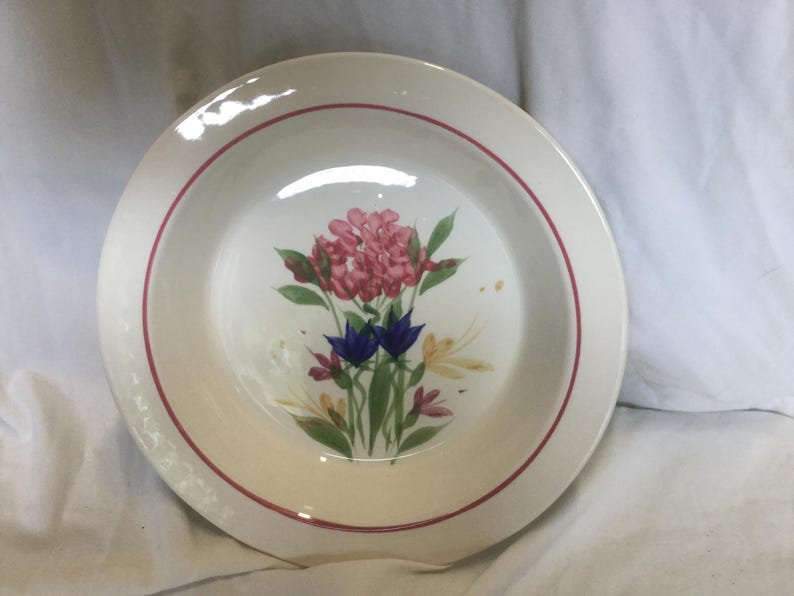 May include: A white ceramic soup bowl with a red rim and a floral design featuring pink, blue, and yellow flowers.