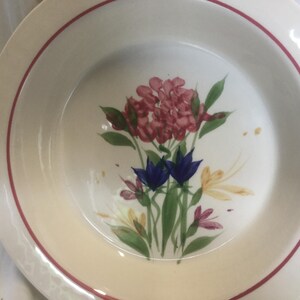 May include: A white ceramic bowl with a red rim and a floral design. The design features pink, blue, and yellow flowers with green leaves.