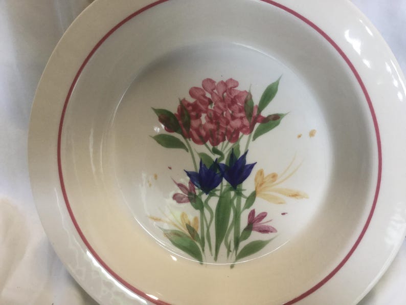 May include: A white ceramic bowl with a red rim and a floral design. The design features pink, blue, and yellow flowers with green leaves.