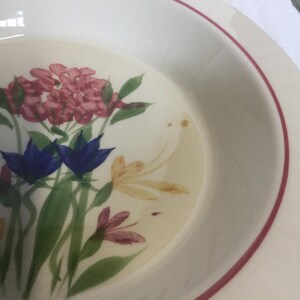 May include: A white ceramic bowl with a red rim and a floral design. The design features pink, blue, and yellow flowers with green leaves.