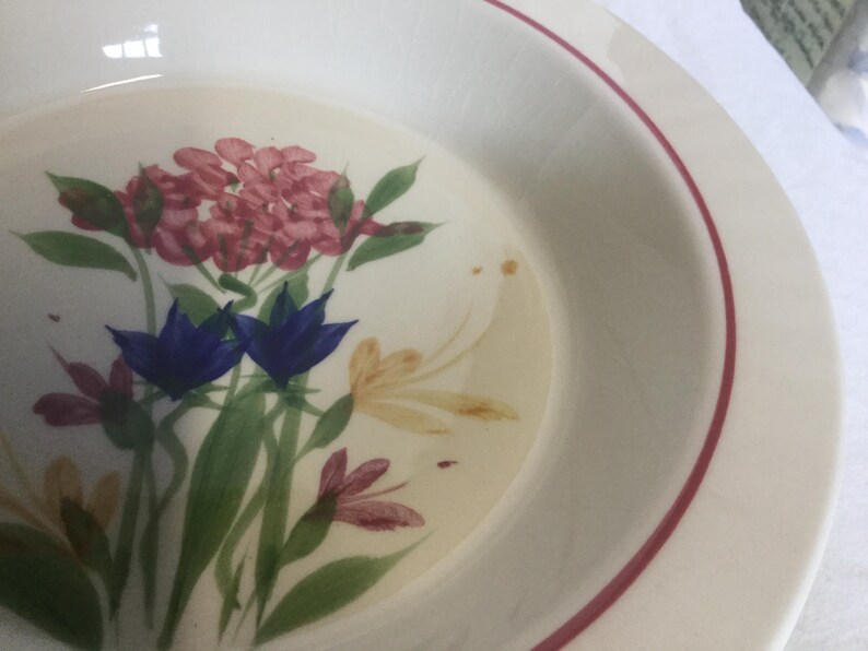 May include: A white ceramic bowl with a red rim and a floral design. The design features pink, blue, and yellow flowers with green leaves.