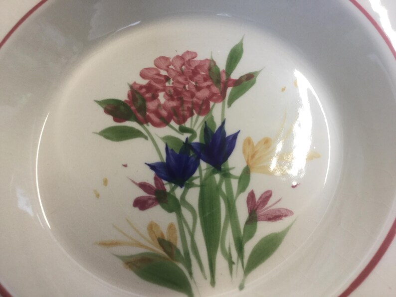 May include: A white ceramic bowl with a red rim and a floral design. The design features pink, blue, and yellow flowers with green leaves.