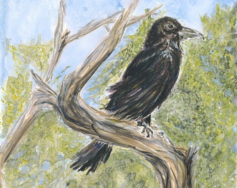 Raven/Crow named - Jarl The Nobleman -- Giclee print of original watercolor painting