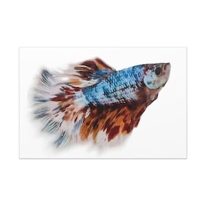 Vibrant Fish Canvas Art Wrap, Ocean Decor, Home Wall Art, Colorful Fish Artwork, Unique Living Room Hanger, Gift for Aquarium Lovers