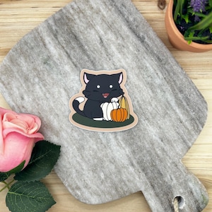 Pumpkin Patch Chibi Cat 2.5” Vinyl Sticker
