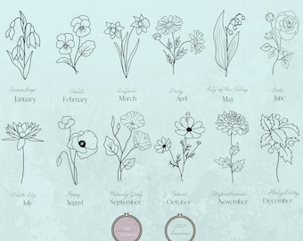 Birth month flower patterns for hand embroidery, floral pattern for all 12 months, includes stitch guides and beginner embroidery tutorials