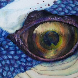 Art Prints