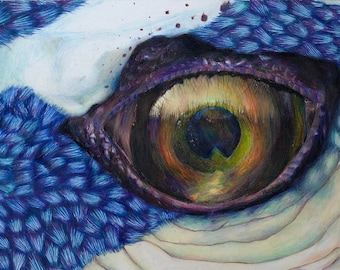Art Prints