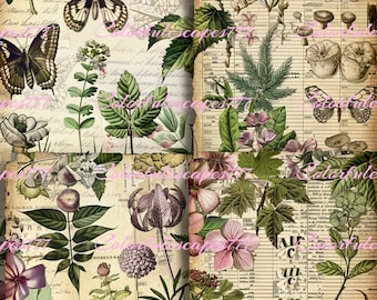 Forest Junk Journal Kit, Botanical Ephemera (Digital Download)