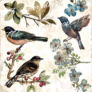 Vintage Bird Junk Journal Pages, Digital Floral Scrapbook Paper Kit, Printable Collage Sheet, Antique Animal Pages, Spring Flower Ephemera