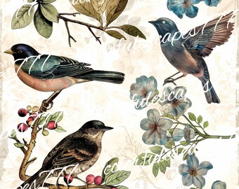 Vintage Bird Junk Journal Pages, Digital Floral Scrapbook Paper Kit ...